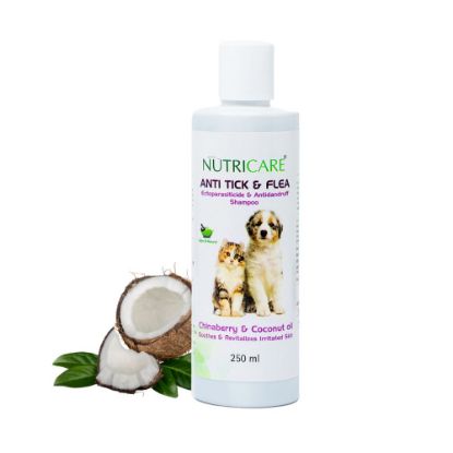 anti tick flea shampoo front view with coconut in the background