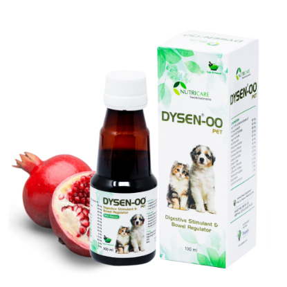 Dysen-00 Pet Digestive Stimulant & Bowl Regulator Product Image without background