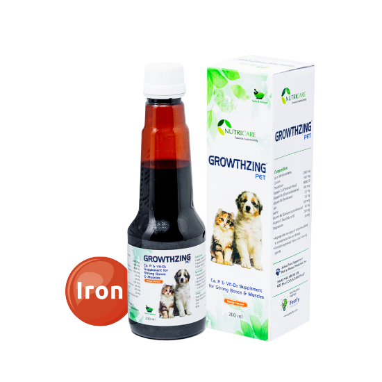 Growthzing Pet for Strong Bone Syrup Product Image without background