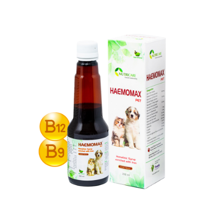 Haemomax Pet Syrup for Anemic Product Image without background
