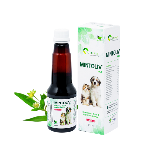 Mintoliv Pet Herbal Liver Tonic Product Image without background