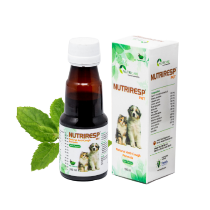 Nutriresp Pet Cough and Cold Syrup Product Image without background