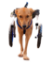 Dog with wheelchair image without background