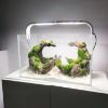 Glass Aquarium with High Clarity 