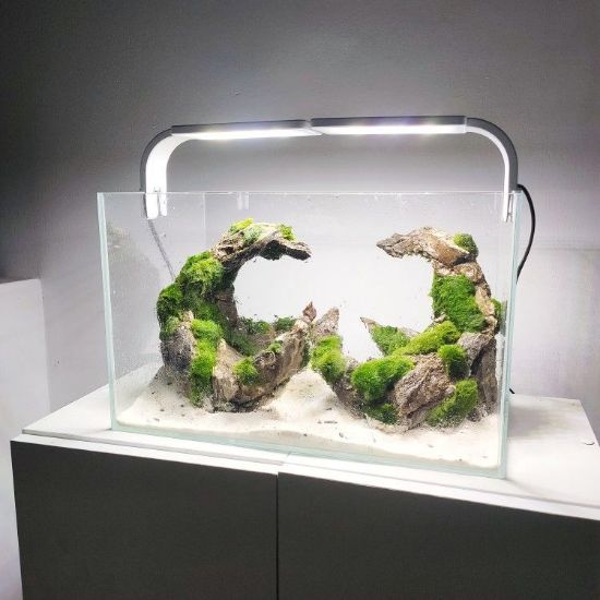 Picture of Glass Aquarium with High Clarity and Low Iron Glass