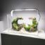 Glass Aquarium with High Clarity 