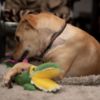 Picture of Barkbutler Aly The Gator 