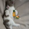 Picture of FOFOS Summer Cat Toy - Juice with Pineapple 