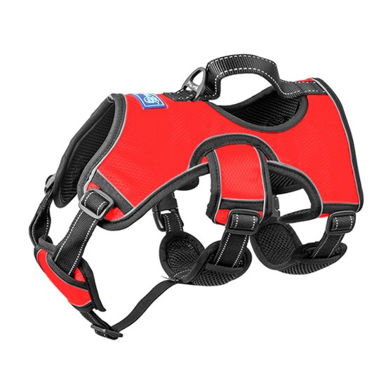 Whoof Whoof FULL BODY THREE LAYER BELT HARNESS - L Red