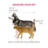 Dog Size measure for FOFOS Luxury Pet Mat