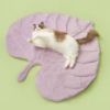 Cat with FOFOS Luxury Pet Mat Love Leaves