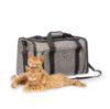 Cat Sitting with FOFOS Anti-Scratch Expandable Foldable Pet Carrier with Breathable Mesh Window