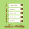 Dogfest Small Dog Treat Natural Ingredients List