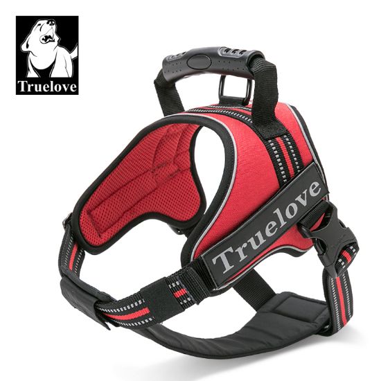 Picture of TRUELOVE Neo-Padded P-Chain Collar XS-Black/Red