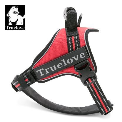 Picture of TRUELOVE Neo-Padded Collar - XXS-black/red
