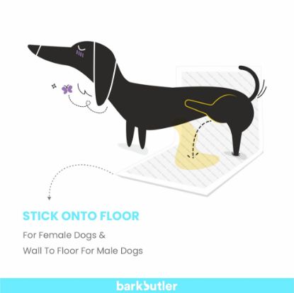 Animated dog peeing on fofos pet pee mat, showing design for both male and female dogs