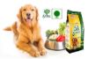 Healthy Vegetarian Dog Food in the bowl with Dog