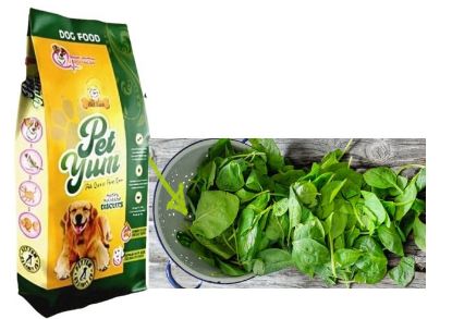 Spinach Flavour High-Quality Veg Dog Food Packet