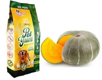 Pumpkin Flavour High-Quality Veg Dog Food Online Packet