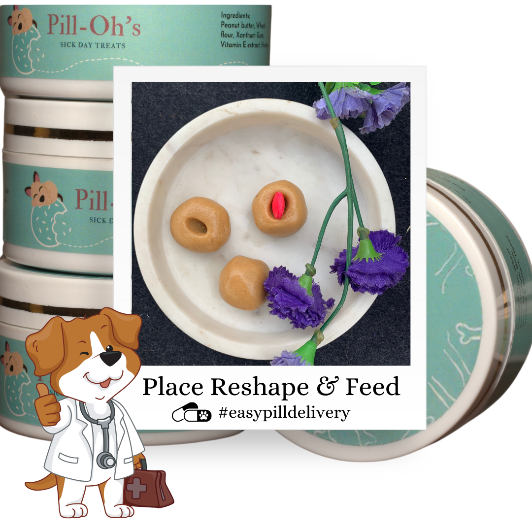 Shop the Best Pet Supplies Online Petofy Everything Pets