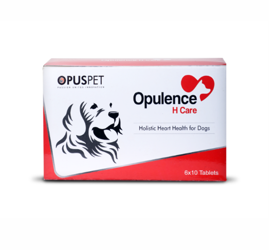 Opulence H Care Tablets for Dog Supports Normal Heart Function 1X6 Strip