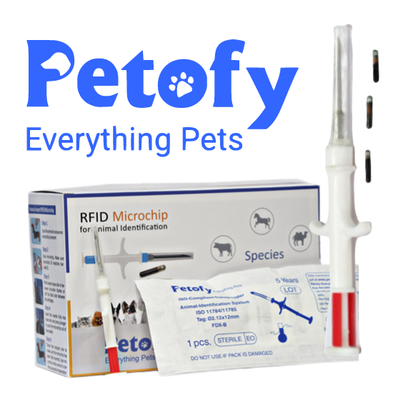 Shop the Best Pet Supplies Online Petofy Everything Pets