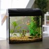 Glass Aquarium with High Clarity and Low Iron Glass