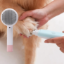 Showing women hand that grinding the paw nail of dog with Nail Grinder