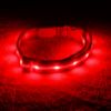A red colour Nylon LED Safety Dog Collar Glowing at night