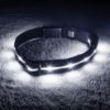 A black colour Nylon LED Safety Dog Collar Glowing at night