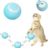 A cat standing and playing with blue colour Self Rotating Gravity Ball