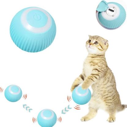 A cat standing and playing with blue colour Self Rotating Gravity Ball