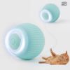 A cat playing with blue colour Self Rotating Gravity Ball