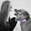 Dog wear a App Controlled Collar and having fun with female owner