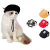 Classic Pet Hat Different Colours