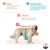 Pet Knit Sweater Measurement Guide