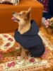 Dog wear Navy Blue Windcheater Side Angle View