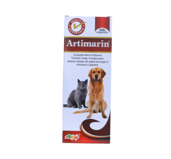 ARTIMARIN SUSP FRONT 