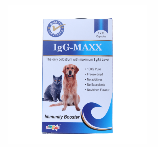 IGG-MAXX TAB FRONT 
