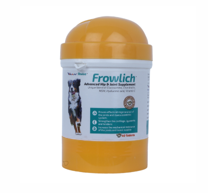 FROWLICH (40 TAB) front 