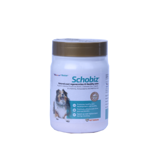 SCHOBIZ (40 TAB) FRONT