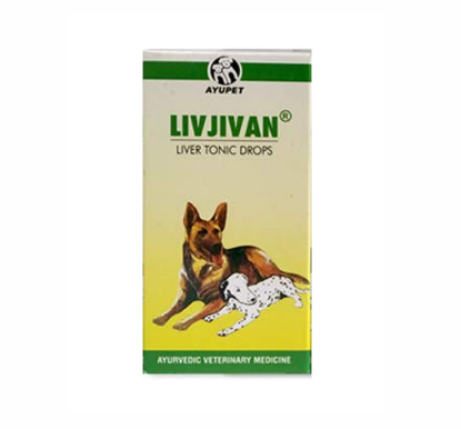 LIVJIVAN DROPS FRONT 