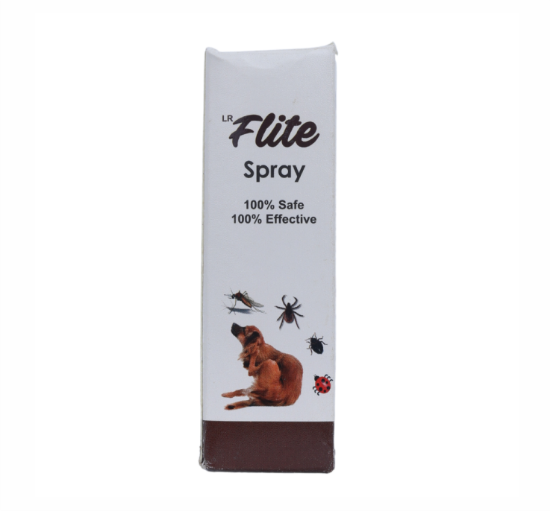 FLITE SYP FRONT