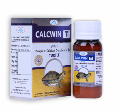 CALCWIN-T TURTLE
