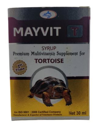 MAYVIT -T TORTOISE
