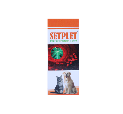 	SETPLET FRONT 