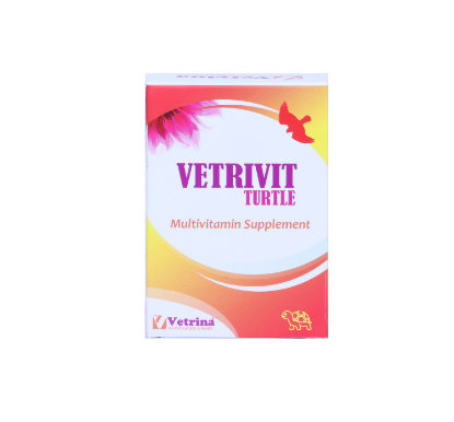 VETRIVIT TURTLE FRONT 
