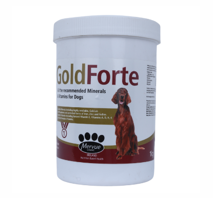 	GOLDFORT DOG 
