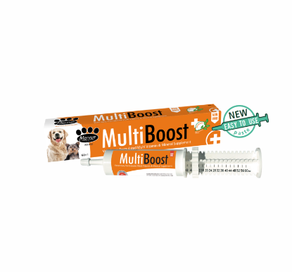	MUITI BOOST DOG PASTE  
