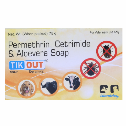 TIKOUT SOAP